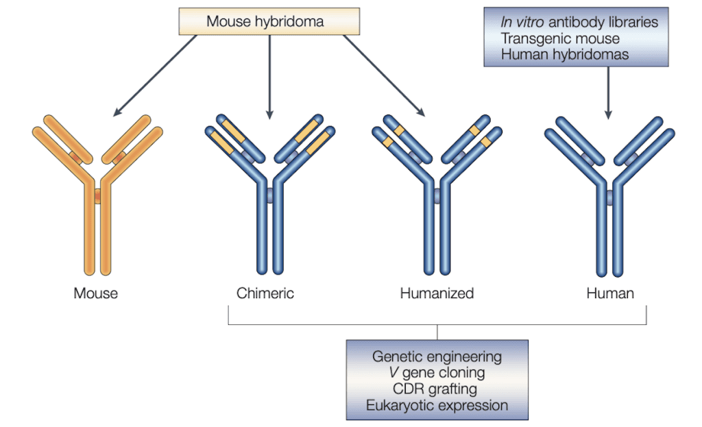 DOI：10.1038/nrd984
