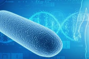 image-synthetic-biology-solution image-synthetic-biology-solution